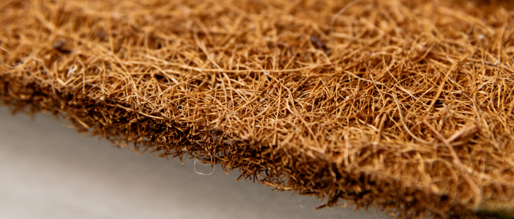 Coir Mattress